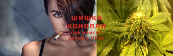 apvp Богородицк