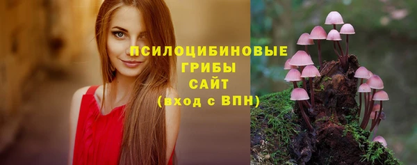 кокс Богородск